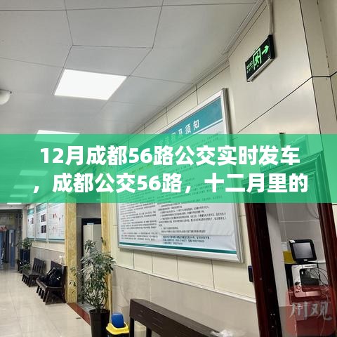 成都公交56路十二月实时发车，城市脉动中的便捷出行