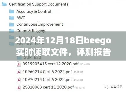 2024年beego实时读取文件功能深度解析与评测报告