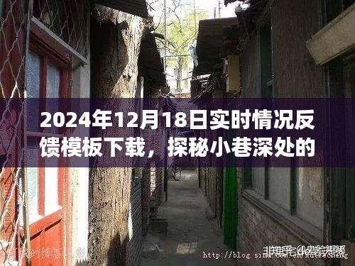 探秘小巷深处独特风味，实时反馈模板下载之旅（2024年12月18日）