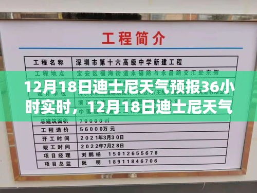 迪士尼天气预报实时更新，天气变化下的迪士尼体验