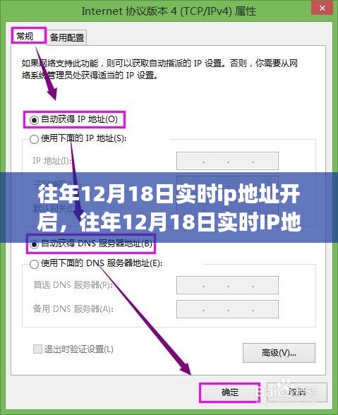 往年12月18日实时IP地址开启服务详解，特性、体验、竞争分析与用户群体洞察