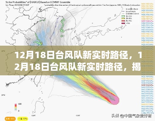 揭秘台风动态，台风队最新实时路径与天气变化掌控