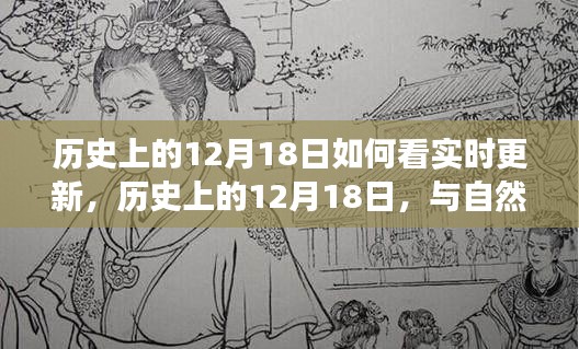 历史上的12月18日，实时更新与自然美景的邂逅，内心的宁静之旅探索