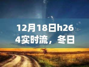 温馨时光下的H264实时流体验，冬日暖阳里的视频盛宴