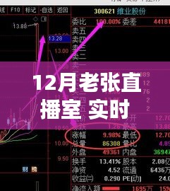 12月老张直播室实时解盘步骤指南，从初学者到进阶用户的实战教程