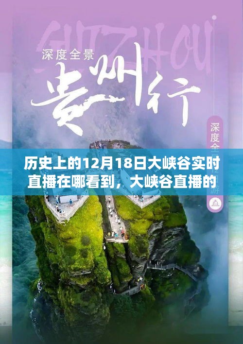 12月18日大峡谷直播历史回望，观看途径与实时追溯