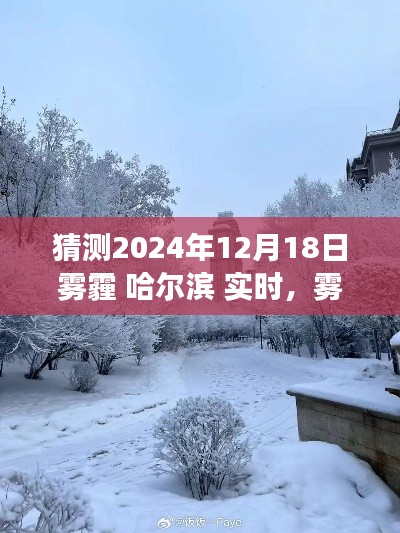 哈尔滨雾霾中的温情故事，预测2024年12月18日实时雾霾情况与日常故事回顾