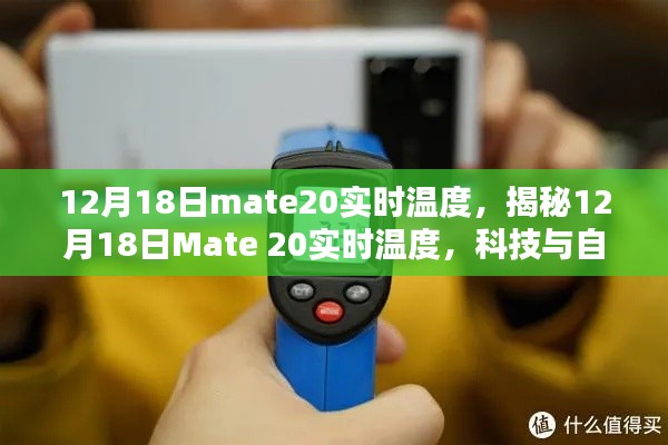 揭秘Mate 20在12月18日的实时温度，科技与自然的完美结合