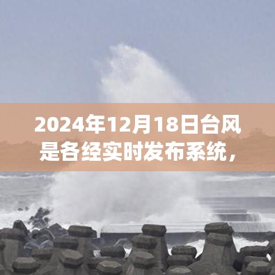 台风美食探秘，实时发布系统背后的特色小店故事（2024年台风季）