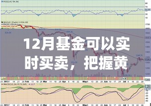 揭秘12月基金实时买卖攻略，把握黄金时机！