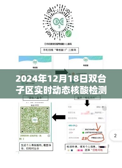 双台子区实时动态核酸检测详解，初学者进阶指南（2024年12月18日）