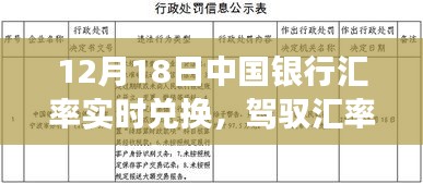 中国银行12月18日实时汇率兑换，驾驭波动背后的故事