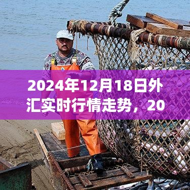 2024年12月18日外汇市场风云实时解析，深度洞悉行情走势与时代地位