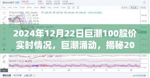 揭秘，巨潮涌动下的股价风云——巨潮100实时股价报告（2024年12月22日）