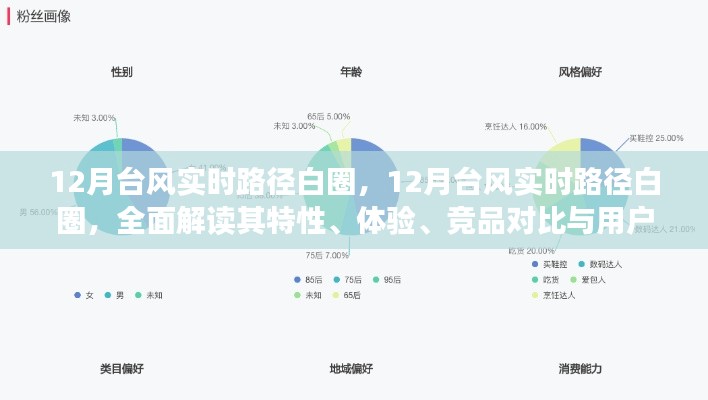 全面解读，12月台风实时路径白圈特性、体验、竞品对比与用户群体分析