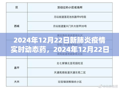 全球新肺炎疫情实时动态药物进展报告（2024年12月22日）