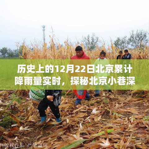 历史上的北京降雨纪实，特色小店与历史的浪漫邂逅在雨中的北京小巷深处