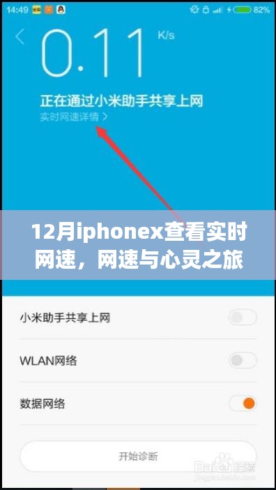 iPhone X下的网速与心灵探索，实时网速与自然美景的十二月之旅