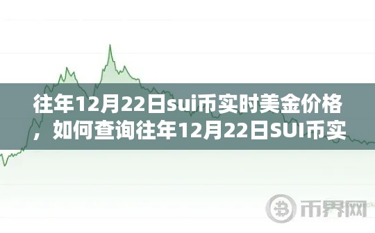 往年12月22日SUI币实时美金价格查询指南，初学者与进阶用户必备知识