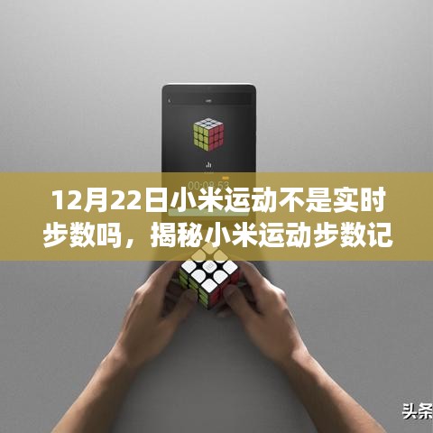 揭秘小米运动步数记录，为何在特定日期未实现实时更新？