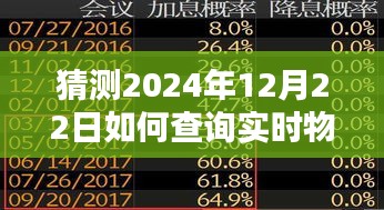 揭秘未来之门，如何查询2024年12月22日实时物价预测与查询指南