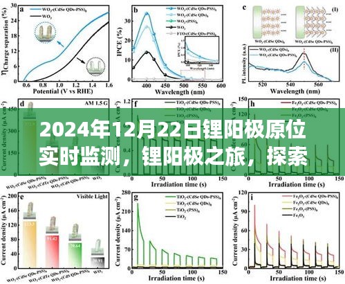 锂阳极之旅，实时监测下的探索与内心和谐之旅