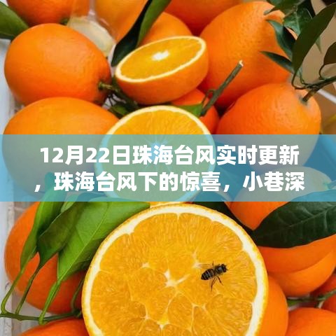 珠海台风下的惊喜，小巷风情与隐藏魅力小店的探索（实时更新）