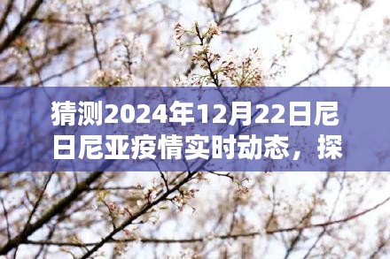 尼日利亚疫情动态预测与独特风味小店的巷陌秘境探寻（2024年12月22日实时更新）