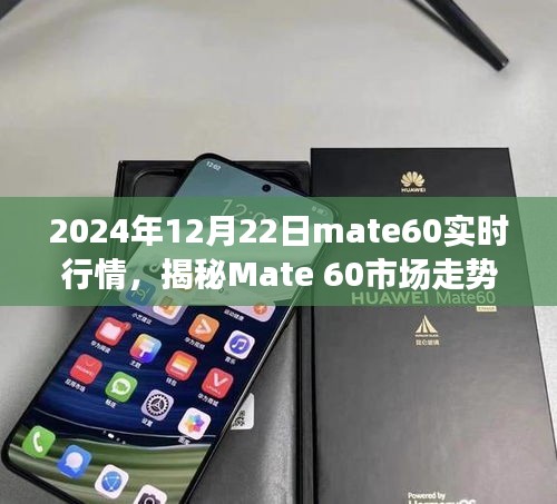 揭秘Mate 60市场走势，深度解析Mate 60实时行情与未来趋势（2024年12月22日）