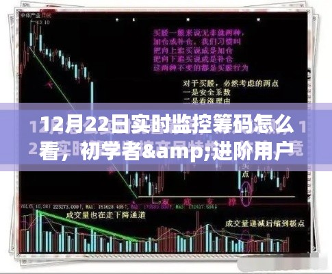 12月22日实时监控筹码分析全攻略，从初学者到进阶用户的筹码观察与解读