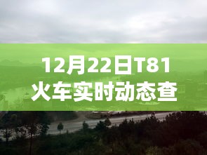 12月22日T81火车实时动态查询，轻松掌握行程信息