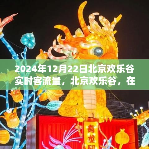 北京欢乐谷客流量纪实，见证时代脉搏的欢乐之地（2024年12月22日）