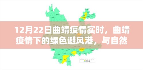 2024年12月24日 第7页