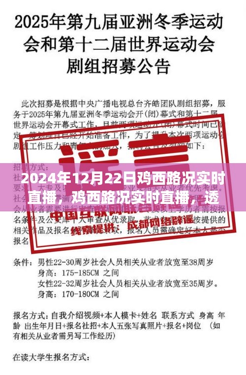 透视鸡西路况，2024年12月22日交通实时直播与深度解析