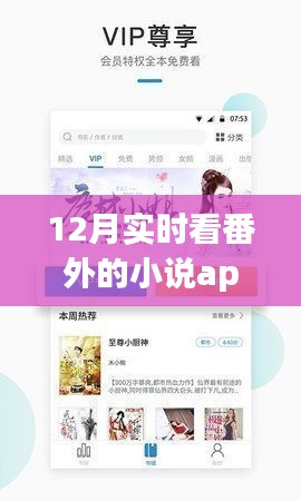 探索十二月最新番外小说APP，沉浸式阅读体验的新领地