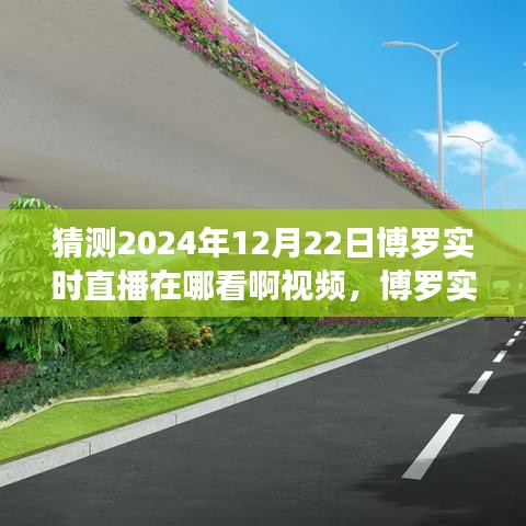 博罗直播展望，2024年12月22日观看指南与实时直播猜测视频