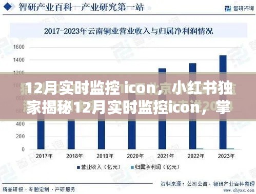 小红书独家揭秘，12月实时监控icon，洞悉未来趋势的必备工具！