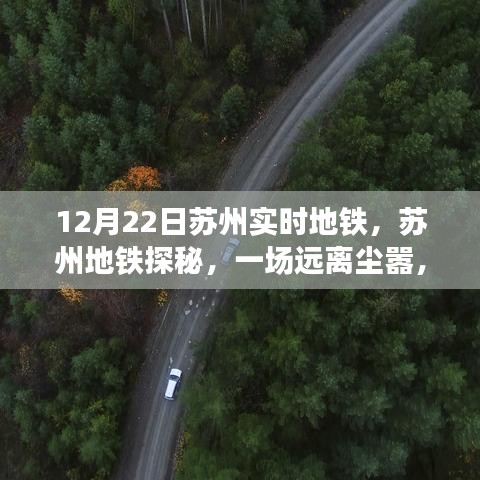 苏州地铁探秘，绿色之旅寻找内心平静的时刻