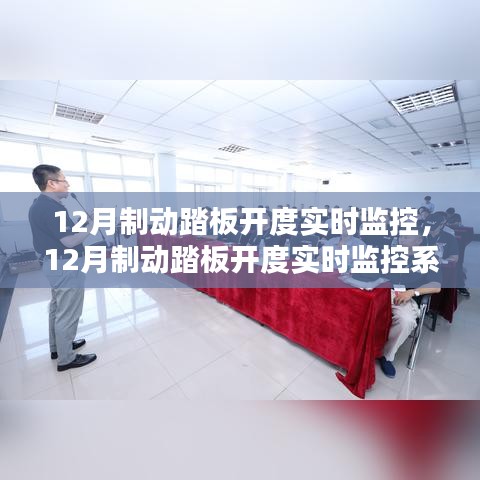 12月制动踏板开度实时监控，深度评测与介绍系统