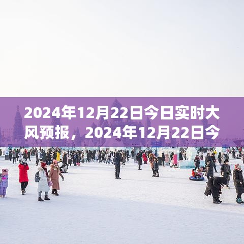 2024年12月22日实时大风预报深度分析与前沿观察