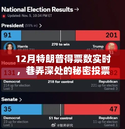 揭秘巷弄深处的秘密投票屋，十二月特朗普得票数实时动态观察