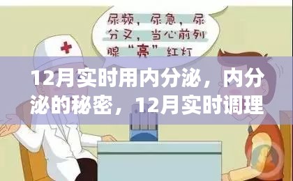 12月内分泌调理指南，揭秘内分泌秘密，实现健康平衡