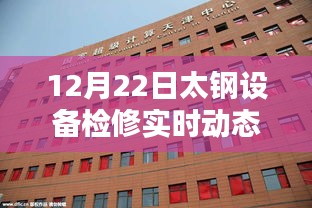 2024年12月26日 第19页