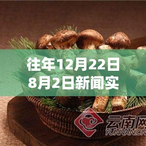 揭秘最新高科技产品，科技盛宴直播日 - 历年12月22日与8月2日新闻实时直播回顾