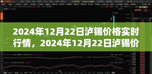 2024年12月22日泸锡价格实时行情及分析