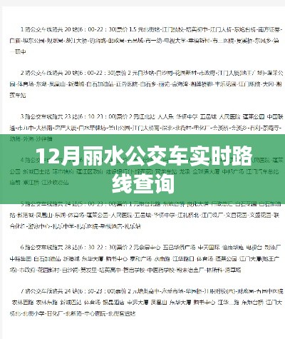 丽水公交实时路线查询十二月版