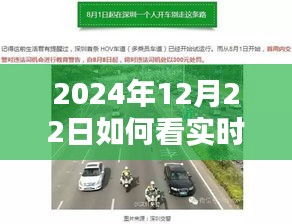 2024年12月22日实时车道位置查看指南