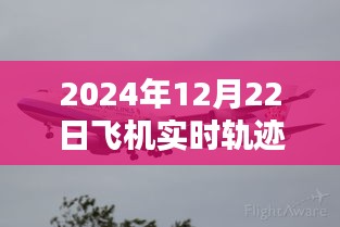 2024年飞机轨迹跟踪直播，实时更新，尽在眼前