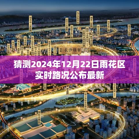 雨花区实时路况预测，最新公布，时间锁定在2024年12月22日