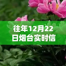 烟台实时资讯，历年12月22日信息汇总